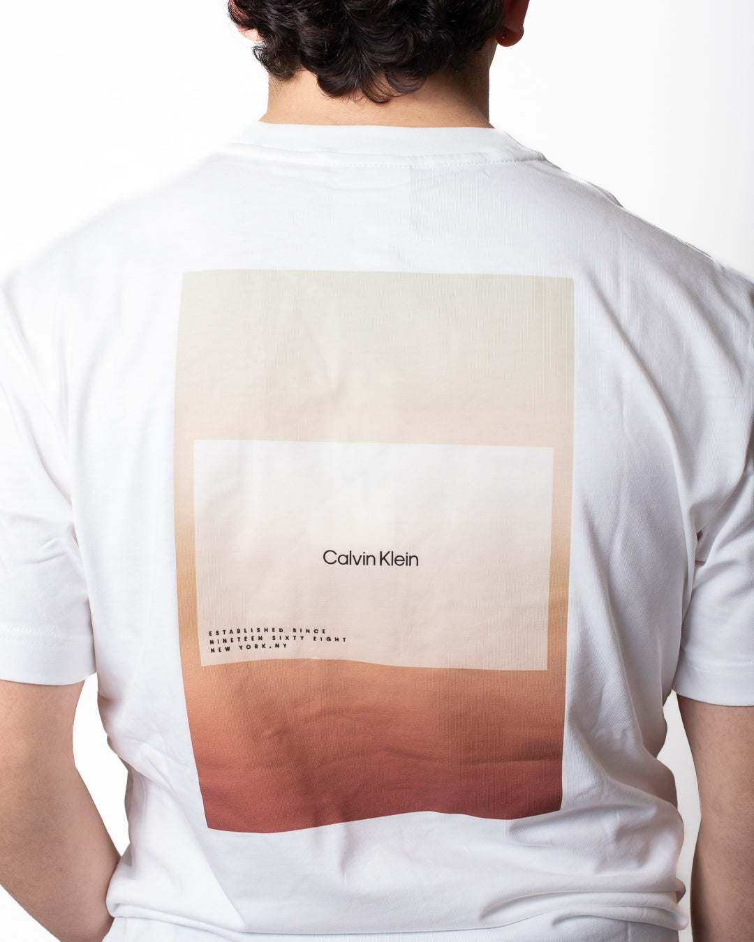 T-Shirt Calvin Klein con stampa e logo in rilievo uomo